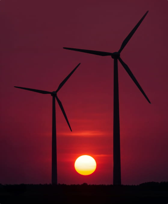 Driving Innovation and Operational Excellence Across Real Estate Investments, Energy, and Food.